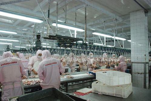 月薪近萬(wàn)的工廠工作，為何搶不過日曬風(fēng)吹的外賣騎手？——從“基礎(chǔ)電信業(yè)務(wù)”角度透視職業(yè)選擇變遷